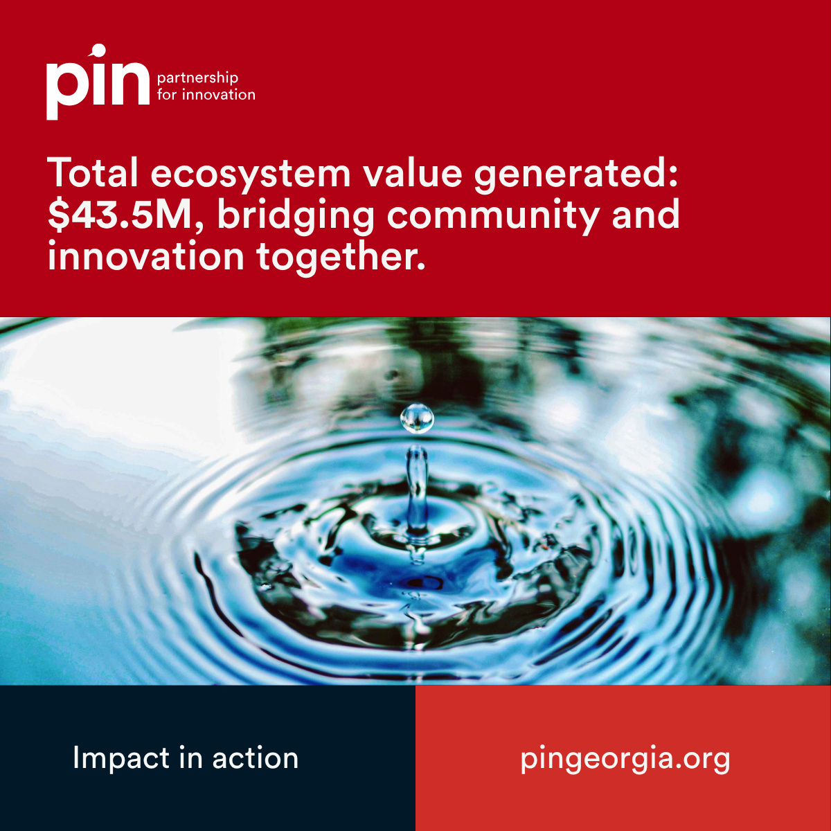 PIN Fund social brand asset